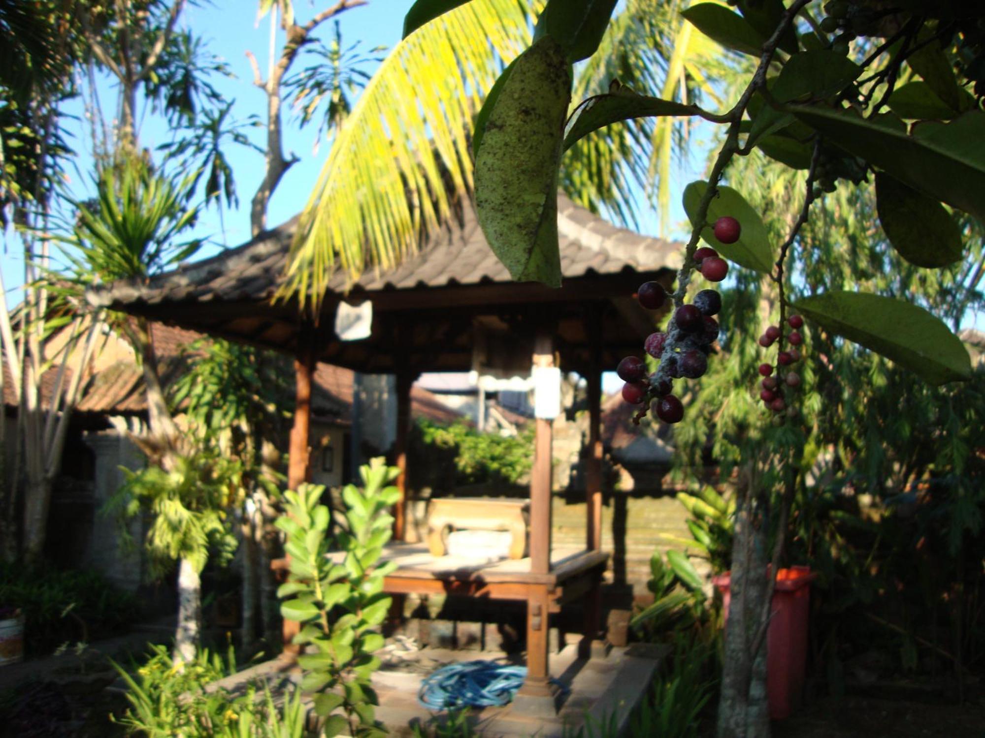 Gusti Home Stay Ubud Rum bild