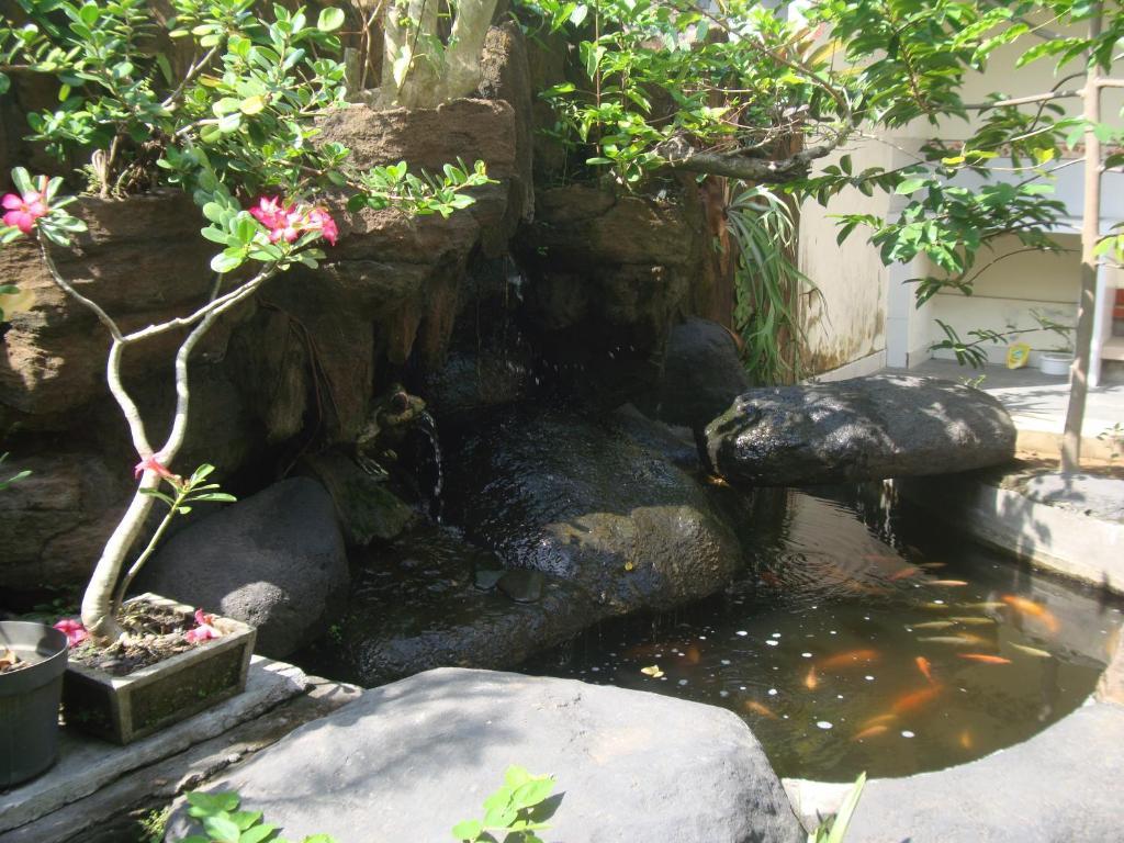 Gusti Home Stay Ubud Exteriör bild