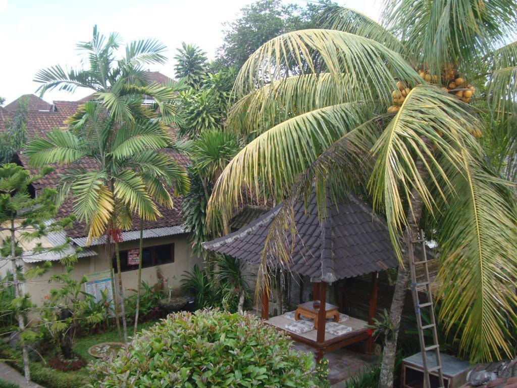 Gusti Home Stay Ubud Exteriör bild